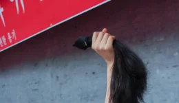 4b-movement-feminism-radical