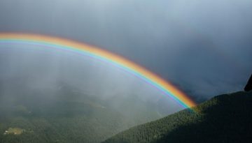 &Eta; &sigma;&upsilon;&mu;&beta;&omicron;&lambda;ή &tau;&omicron;&upsilon; &omicron;&upsilon;&rho;ά&nu;&iota;&omicron;&upsilon; &tau;ό&xi;&omicron;&upsilon; &sigma;&tau;&eta;&nu; &omicron;&mu;&omicron;&phi;&upsilon;&lambda;&omicron;&phi;&iota;&lambda;ί&alpha;