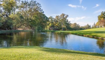 &Eta; &delta;&iota;&alpha;&phi;&omicron;&rho;ά &mu;&epsilon;&tau;&alpha;&xi;ύ &pi;&alpha;&iota;&delta;&omicron;&phi;&iota;&lambda;ί&alpha;&sigmaf; &kappa;&alpha;&iota; &pi;&alpha;&iota;&delta;&epsilon;&rho;&alpha;&sigma;&tau;ί&alpha;&sigmaf; &sigma;&tau;&eta;&nu; &alpha;&rho;&chi;&alpha;ί&alpha; &Epsilon;&lambda;&lambda;ά&delta;&alpha;